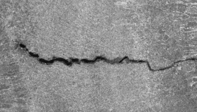 1559036449777431.jpg 444.webp.jpg