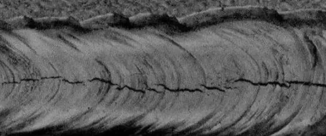 1559036426940849.jpg 222.webp.jpg